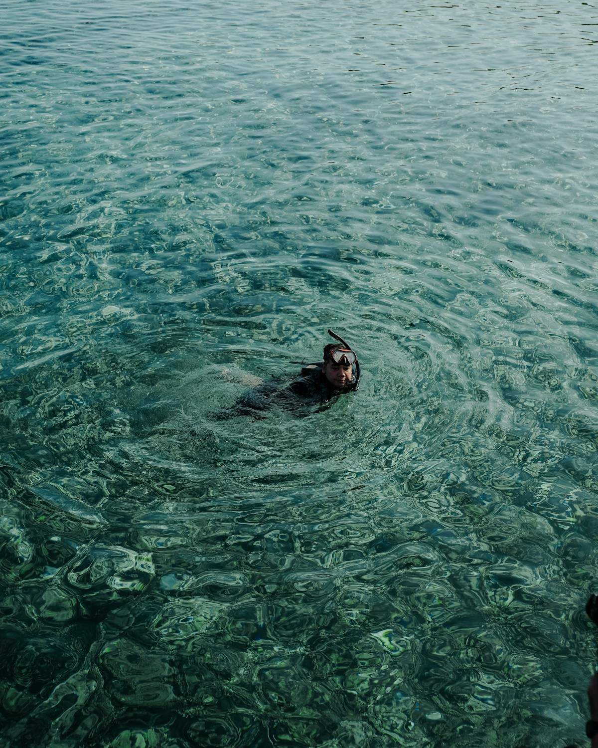 Snorkeller floating in the crystal-clear blue water of Silfra fissure, Iceland
