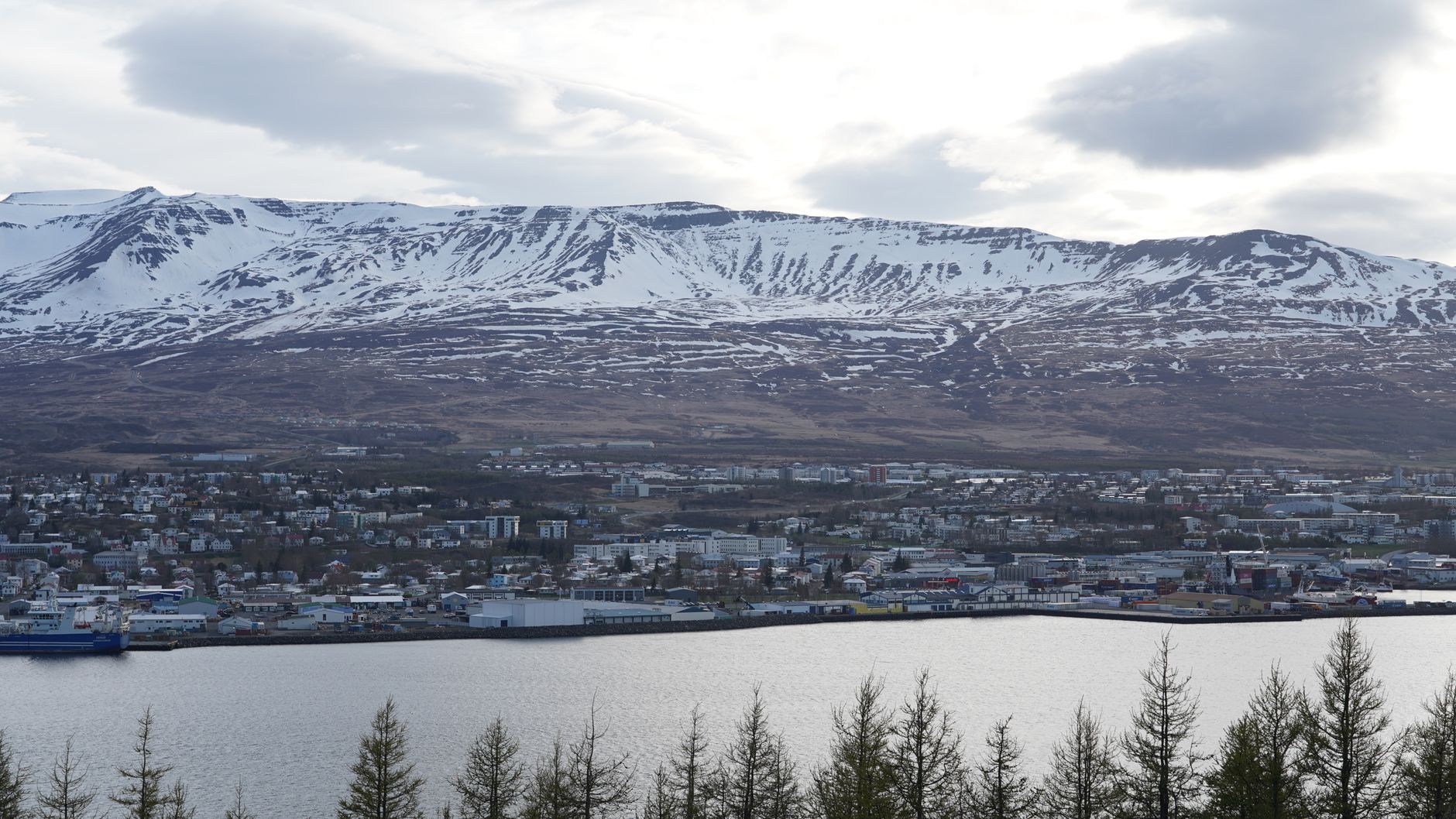 Aerial view of Akureyri town and fjord with snow-capped mountains, north Iceland