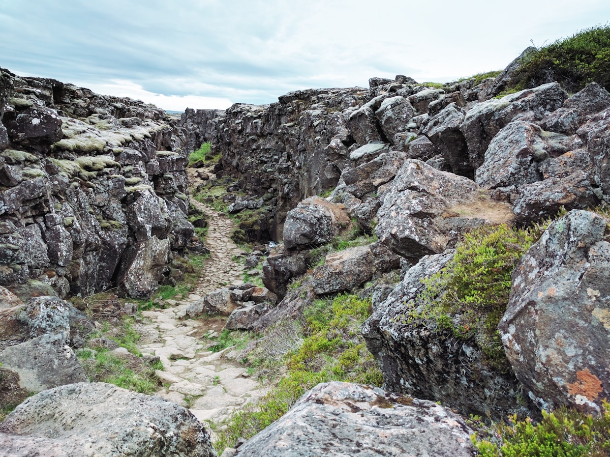 Iceland South Coast with black sand beach and dramatic sea cliffs near Vík