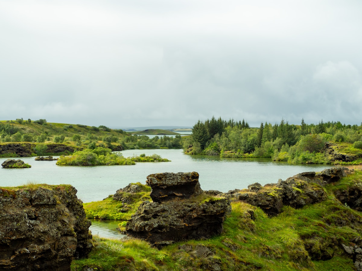 Lake Mývatn with volcanic lava formations and green landscape, north Iceland