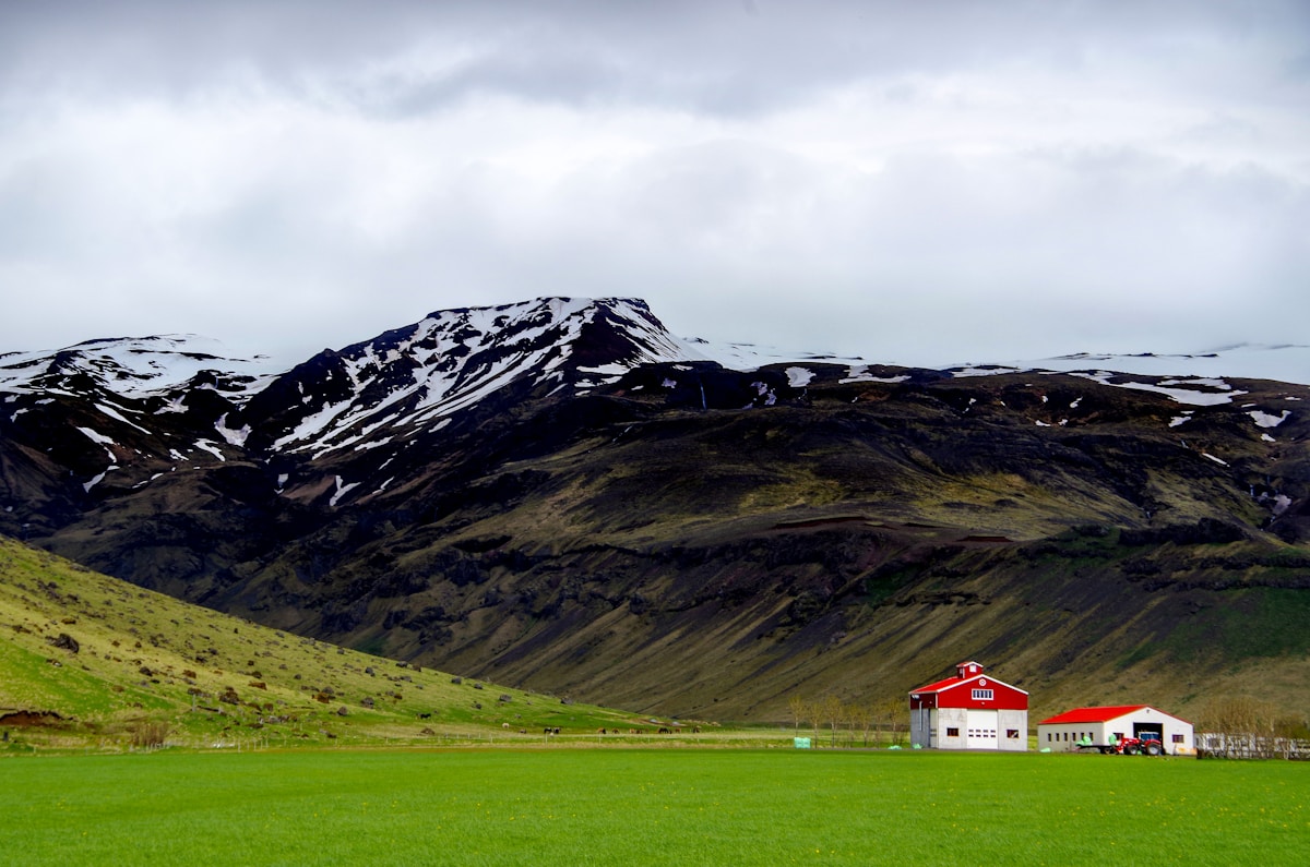 Farm buildings in a field with mountains in the background, east Iceland