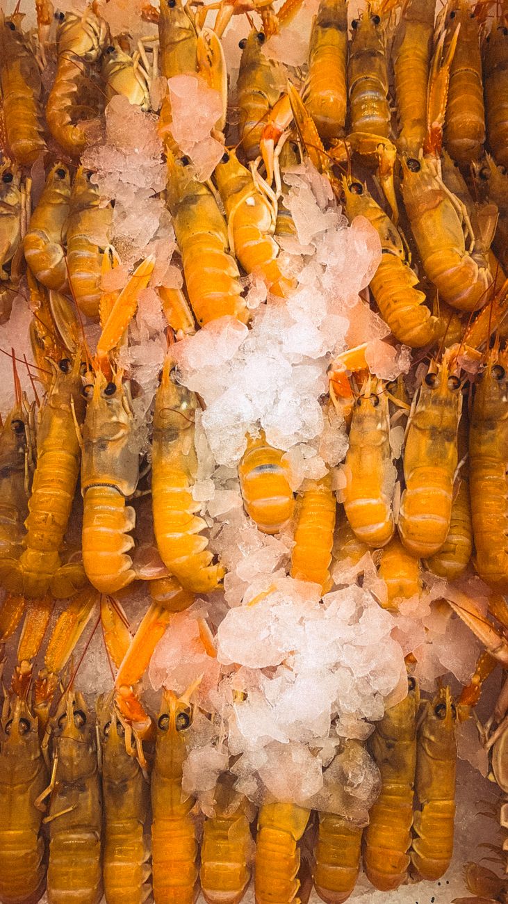 Frische isländische Langustinen auf einem Holzbrett am Meer