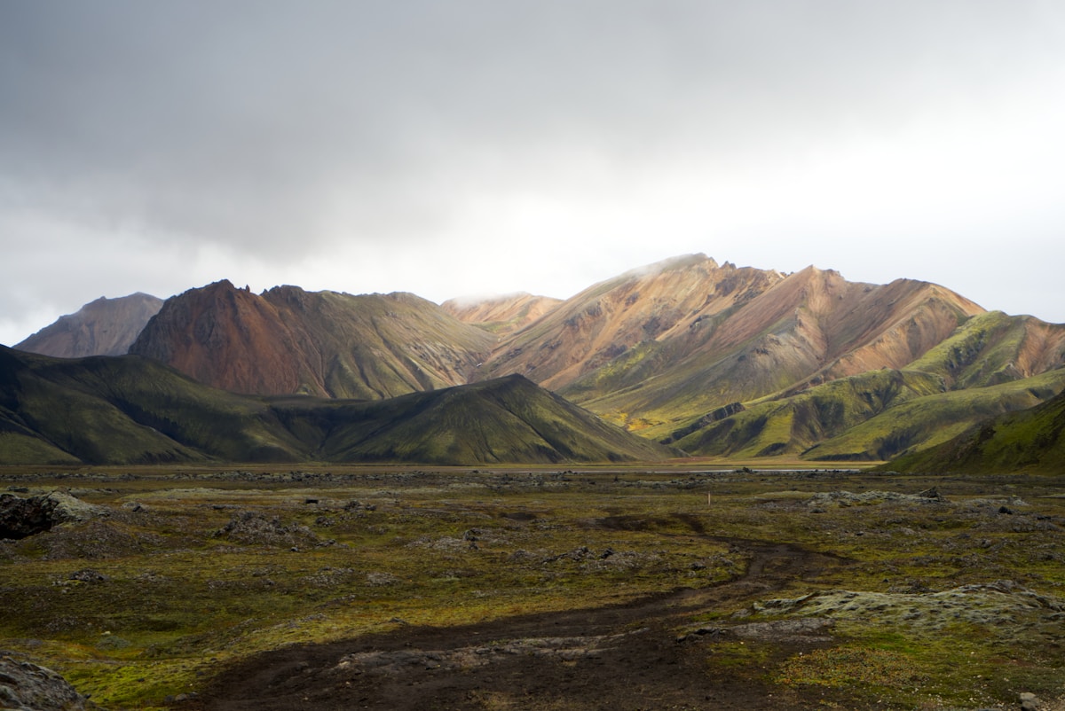 Green field with a rhyolite mountain in the background at Landmannalaugar, Iceland