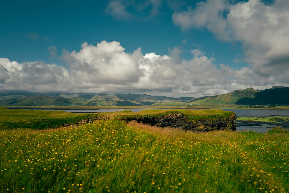 Grassy field with rolling hills under cloudy sky, Dyrhólaey, Iceland — May