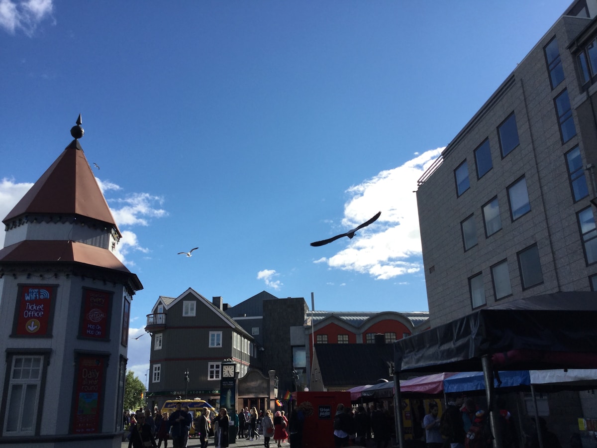 People walking on a street past buildings in Reykjavík, Iceland