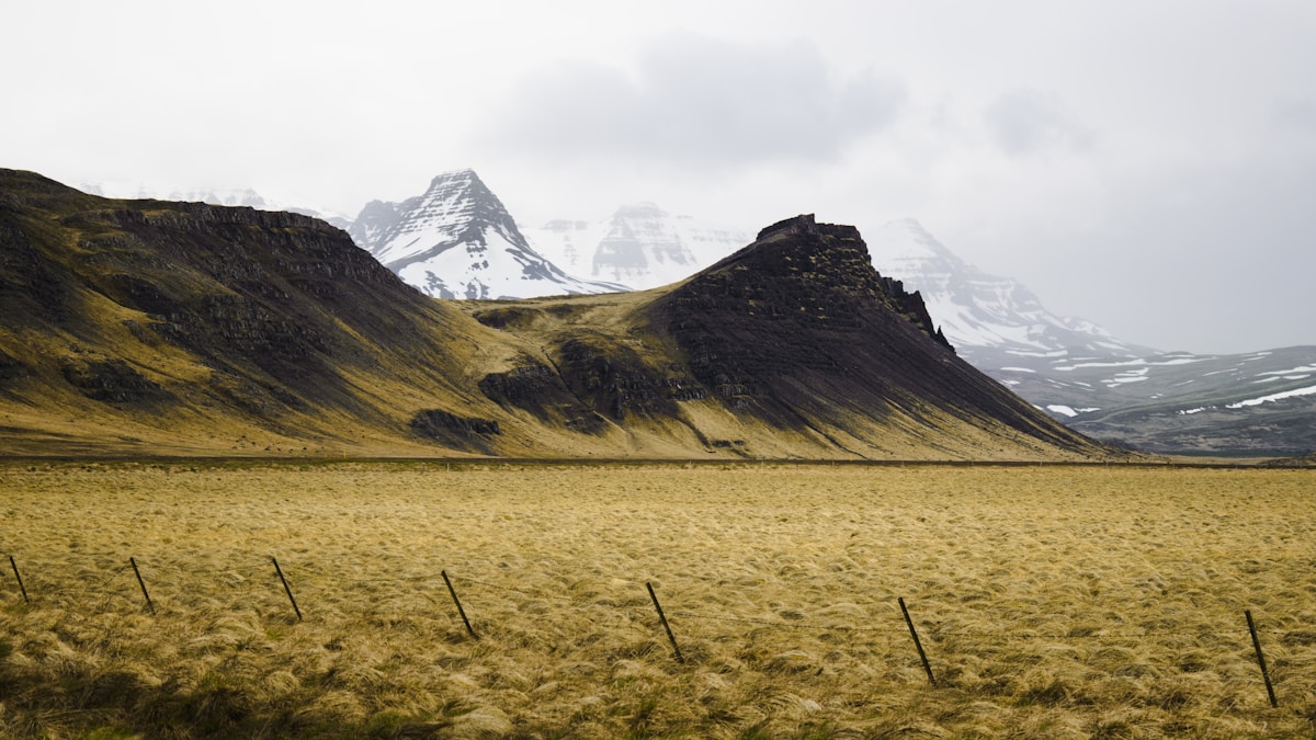 Grassy Iceland field with dramatic snow-capped mountains and cloudy sky