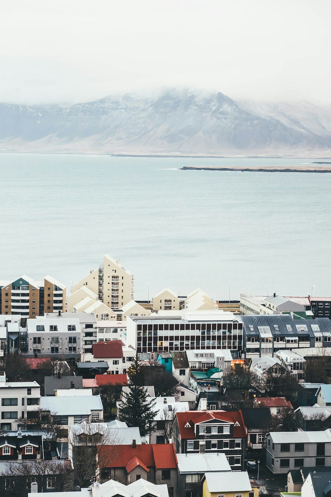 View of Reykjavík rooftops with harbour and mountain in background
